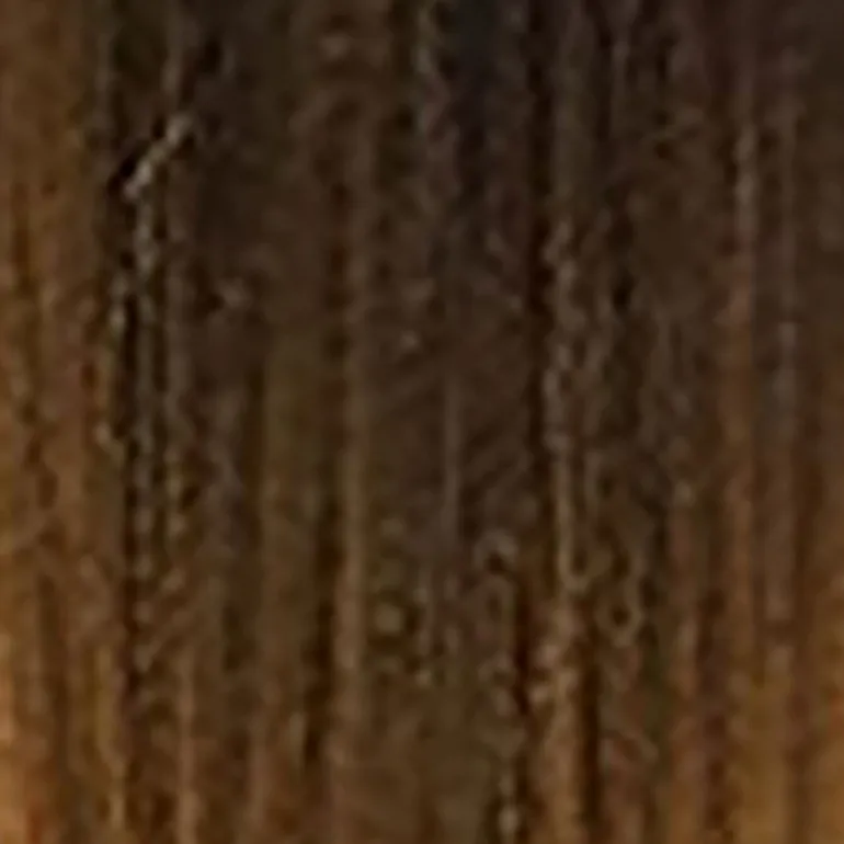 Cheveux à tresser pré-etirés 2 x 46" T4 / 27