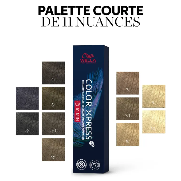 Coloration permanente Color Xpress 2/ noir
