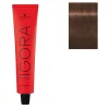 Coloration permanente Igora Royal 6-68 blond foncé chocolat rouge