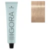 Coloration permanente Igora Royal 12-19 spécial blonde cendré violet