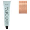 Coloration permanente Igora Royal 12-46 spécial blonde beige chocolat