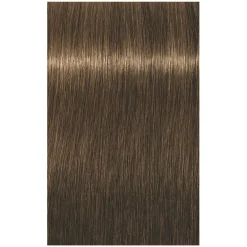 Coloration permanente Igora Royal 6-5 blond foncé doré