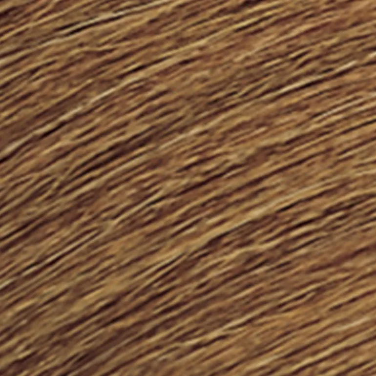 Coloration ton sur ton Shades EQ Gloss 06WG doré chaud mango