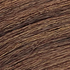 Coloration ton sur ton Shades EQ Gloss 04WG sun tea