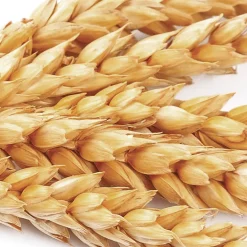 Crème nutritive sans rinçage pour cheveux secs