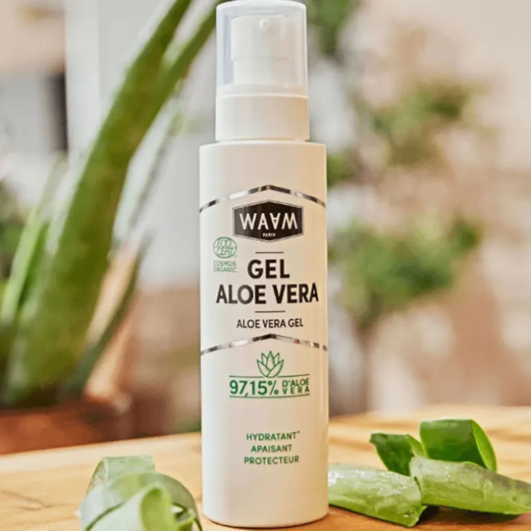 Gel d'aloe vera