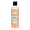 Lait crémeux à la sapote