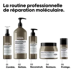 Masque professionnel concentré Absolut Repair Molecular 500ml