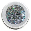 Paillettes holo y'holo