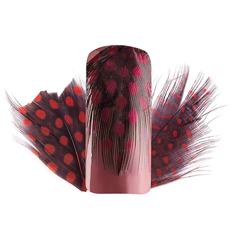 Plumes Nail Art rouge