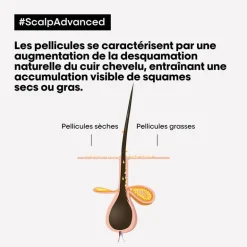Routine anti-pellicules grasses Scalp Advanced