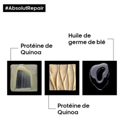 Routine restructurante intense Absolut Repair