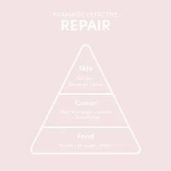 Shampooing cheveux abîmés Repair 280 ml