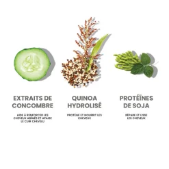 Shampooing hydratant Hydrate My Hair