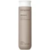 Shampooing lissant No Frizz