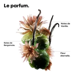 Shampooing réparateur Absolut Repair Molecular 500ml