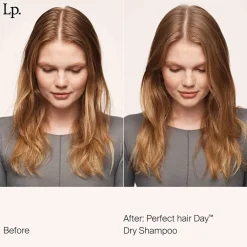 Shampooing sec Perfect Hair Day