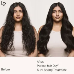 Soin coiffant 5 en 1 Perfect Hair Day