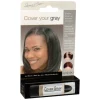 Stick retouche coloration cheveux 4,2g Noir de Jais