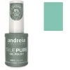 Vernis semi-permanent True Pure T17