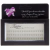 60 faux cils individuels en soie