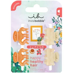 4 Petites pinces Clipstar Oasis