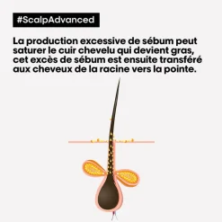Argile 2-en-1 purifiante anti-gras Scalp Advanced 500ml