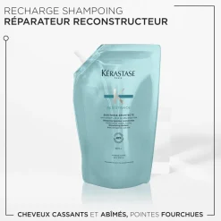 Bain Force Architecte Résistance recharge 500 ml