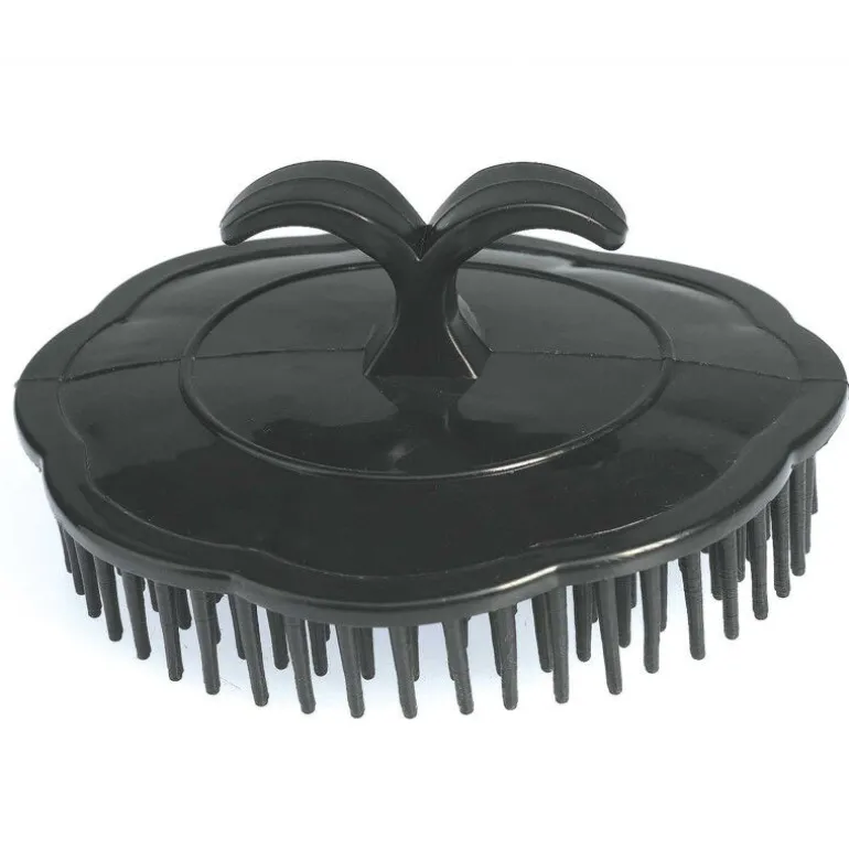 Brosse de massage