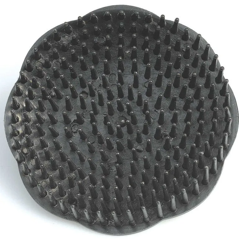 Brosse de massage