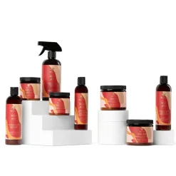 Brume hydratante démêlante Restore & Repair JBCO