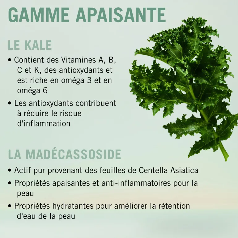 Duo apaisant Bonacure Scalp