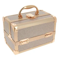 Mini Valise à main Rose Gold