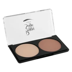 Palette modeleurs visage irisé