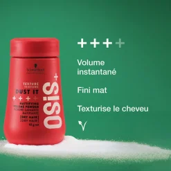 Poudre gainante matifiante Dust It Osis+