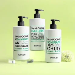 Shampooing assainissant anti-pelliculaire