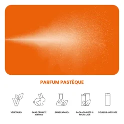 Spray texturisant Dry Finish